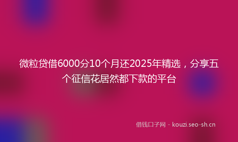 微粒贷借6000分10个月还2025年精选，分享五个征信花居然都下款的平台