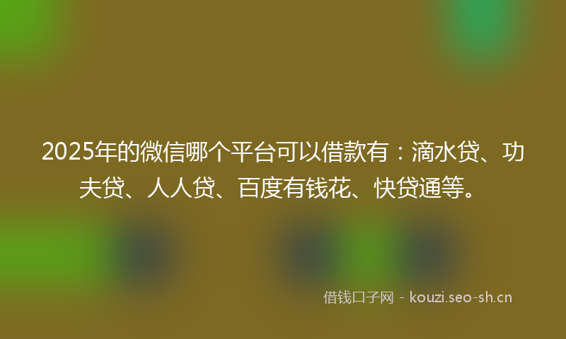 2025年的微信哪个平台可以借款有：滴水贷、功夫贷、人人贷、百度有钱花、快贷通等。