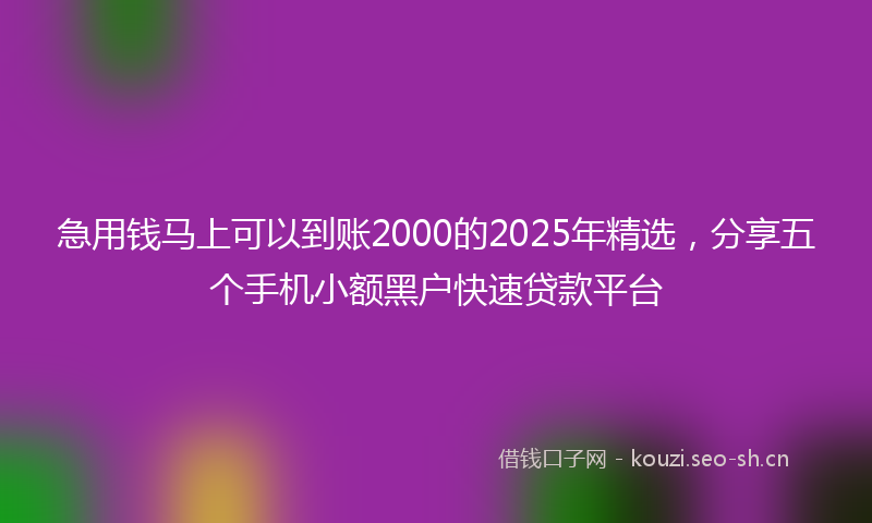 急用钱马上可以到账2000的2025年精选，分享五个手机小额黑户快速贷款平台