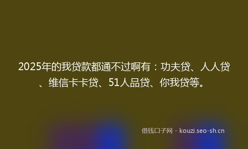 2025年的我贷款都通不过啊有：功夫贷、人人贷、维信卡卡贷、51人品贷、你我贷等。