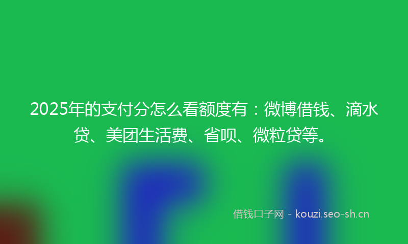 2025年的支付分怎么看额度有：微博借钱、滴水贷、美团生活费、省呗、微粒贷等。