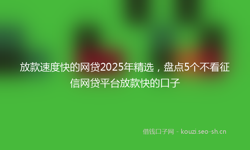 放款速度快的网贷2025年精选，盘点5个不看征信网贷平台放款快的口子