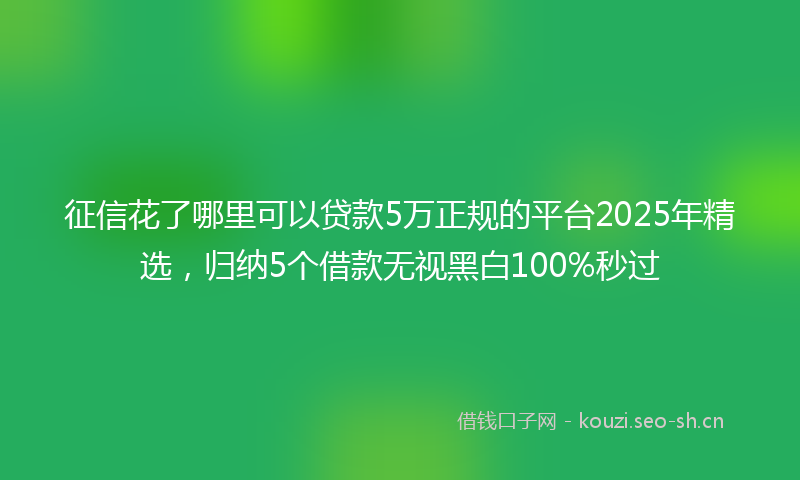 征信花了哪里可以贷款5万正规的平台2025年精选，归纳5个借款无视黑白100%秒过