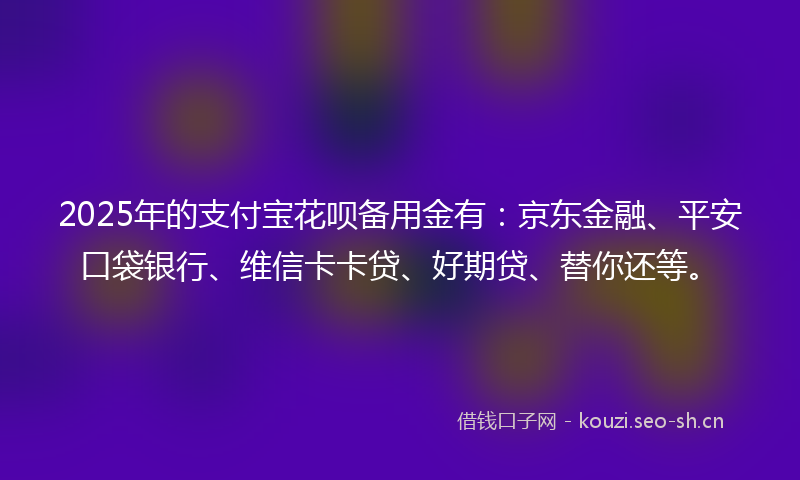 2025年的支付宝花呗备用金有：京东金融、平安口袋银行、维信卡卡贷、好期贷、替你还等。