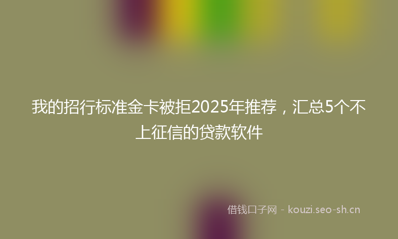 我的招行标准金卡被拒2025年推荐，汇总5个不上征信的贷款软件