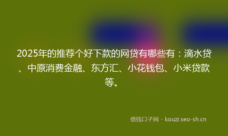 2025年的推荐个好下款的网贷有哪些有：滴水贷、中原消费金融、东方汇、小花钱包、小米贷款等。