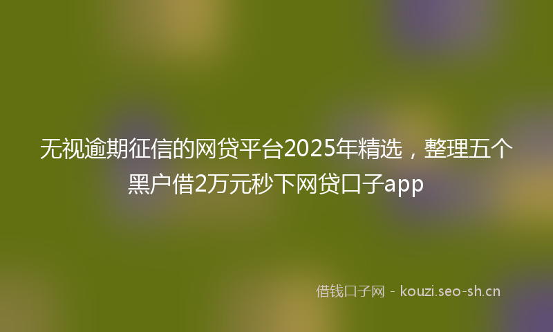 无视逾期征信的网贷平台2025年精选，整理五个黑户借2万元秒下网贷口子app