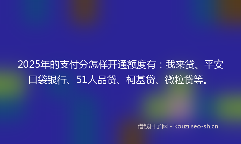2025年的支付分怎样开通额度有：我来贷、平安口袋银行、51人品贷、柯基贷、微粒贷等。