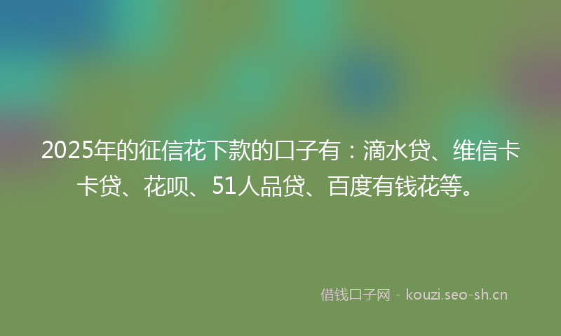 2025年的征信花下款的口子有：滴水贷、维信卡卡贷、花呗、51人品贷、百度有钱花等。