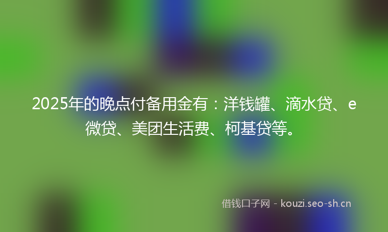 2025年的晚点付备用金有:洋钱罐、滴水贷、e微贷、美团生活费、柯基贷等。