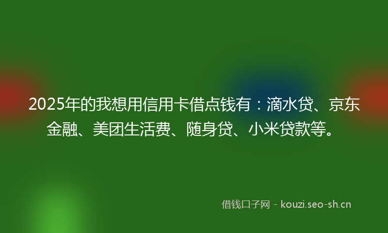 2025年的我想用信用卡借点钱有：滴水贷、京东金融、美团生活费、随身贷、小米贷款等。