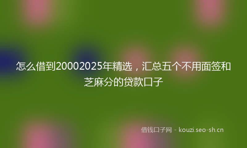 怎么借到20002025年精选，汇总五个不用面签和芝麻分的贷款口子