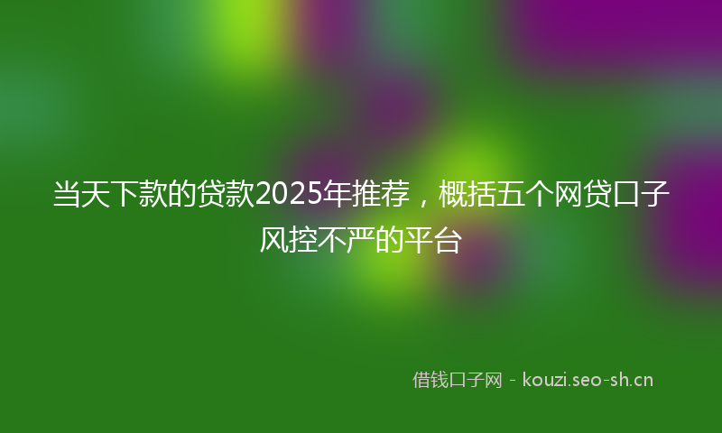 当天下款的贷款2025年推荐，概括五个网贷口子风控不严的平台