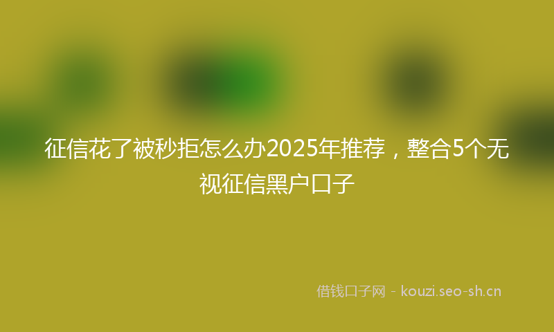 征信花了被秒拒怎么办2025年推荐,整合5个无视征信黑户口子
