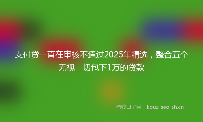 支付贷一直在审核不通过2025年精选，整合五个无视一切包下1万的贷款