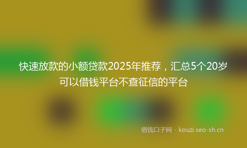 快速放款的小额贷款2025年推荐，汇总5个20岁可以借钱平台不查征信的平台