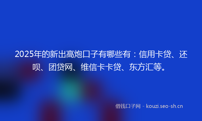 2025年的新出高炮口子有哪些有：信用卡贷、还呗、团贷网、维信卡卡贷、东方汇等。