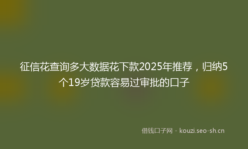 征信花查询多大数据花下款2025年推荐，归纳5个19岁贷款容易过审批的口子