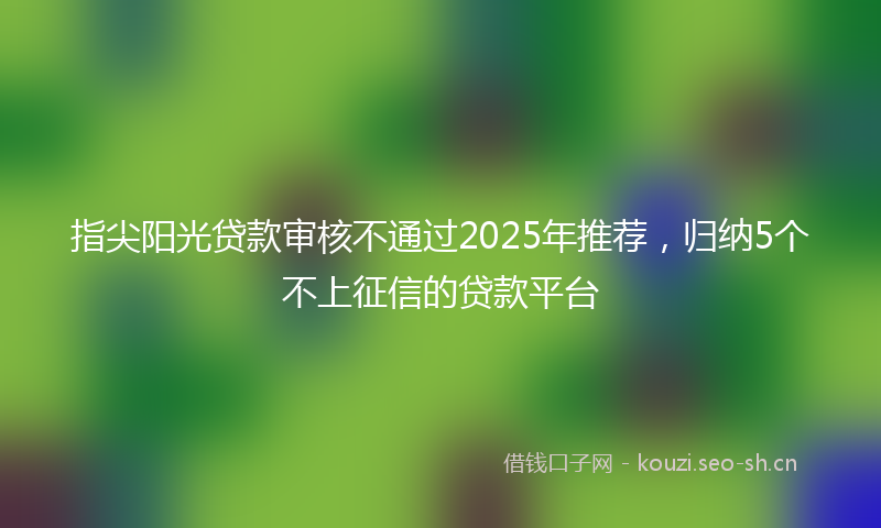 指尖阳光贷款审核不通过2025年推荐，归纳5个不上征信的贷款平台
