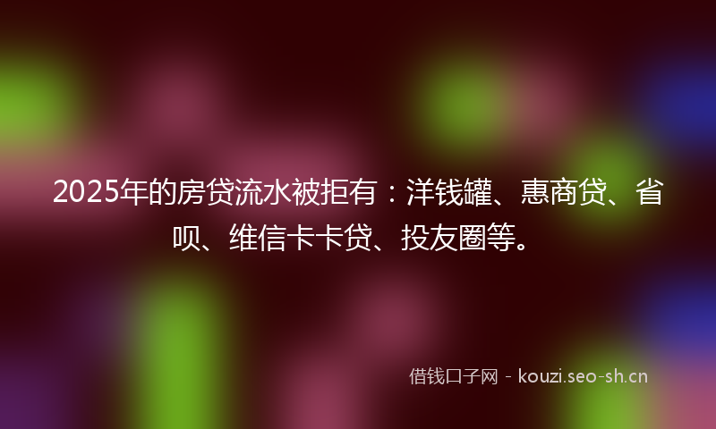 2025年的房贷流水被拒有：洋钱罐、惠商贷、省呗、维信卡卡贷、投友圈等。