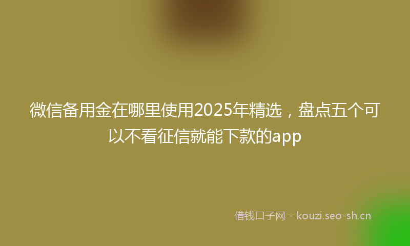 微信备用金在哪里使用2025年精选，盘点五个可以不看征信就能下款的app
