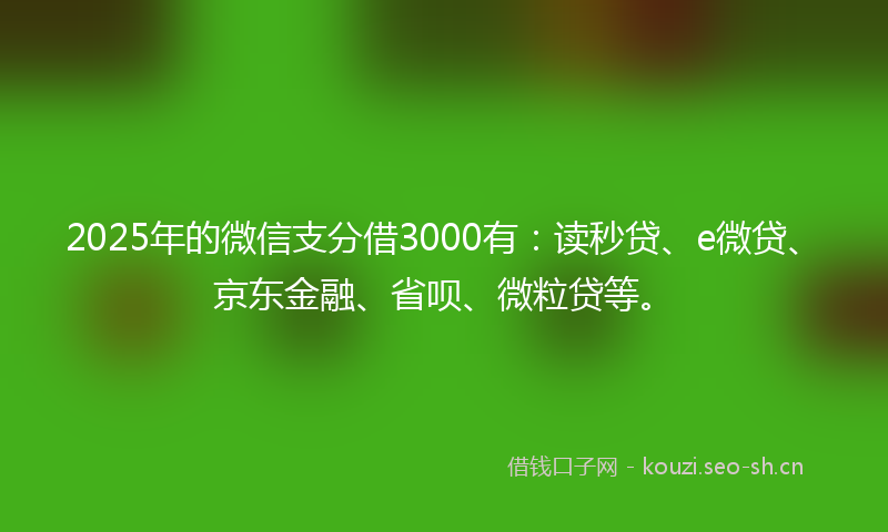 2025年的微信支分借3000有:读秒贷、e微贷、京东金融、省呗、微粒贷等。