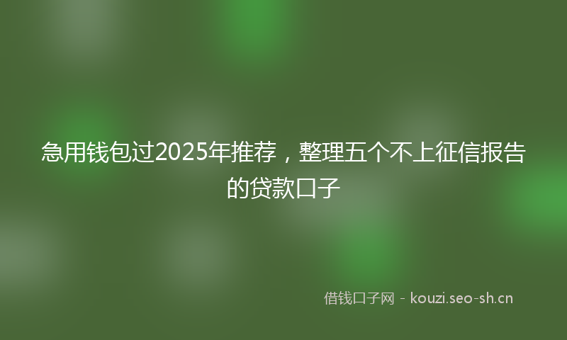 急用钱包过2025年推荐，整理五个不上征信报告的贷款口子