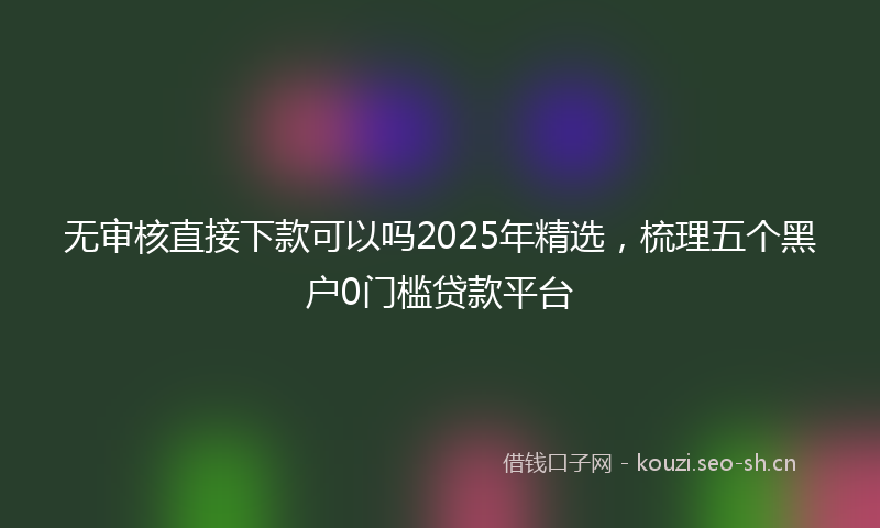 无审核直接下款可以吗2025年精选，梳理五个黑户0门槛贷款平台