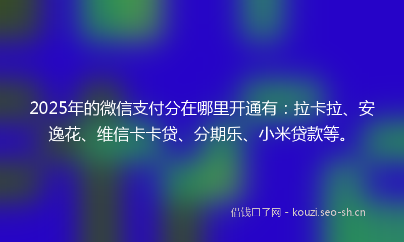 2025年的微信支付分在哪里开通有：拉卡拉、安逸花、维信卡卡贷、分期乐、小米贷款等。