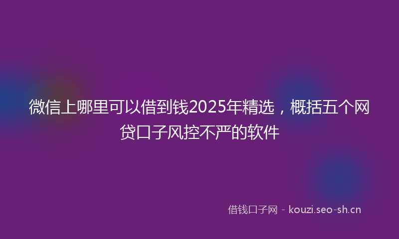 微信上哪里可以借到钱2025年精选，概括五个网贷口子风控不严的软件