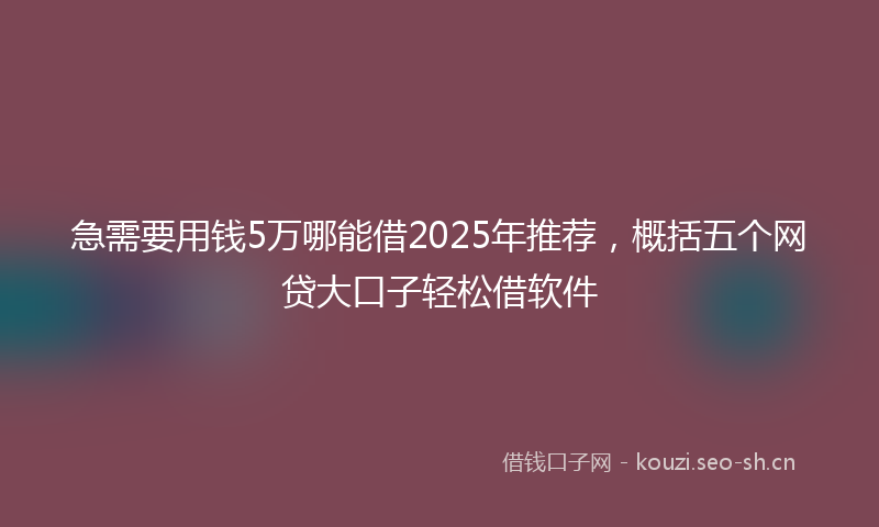 急需要用钱5万哪能借2025年推荐，概括五个网贷大口子轻松借软件