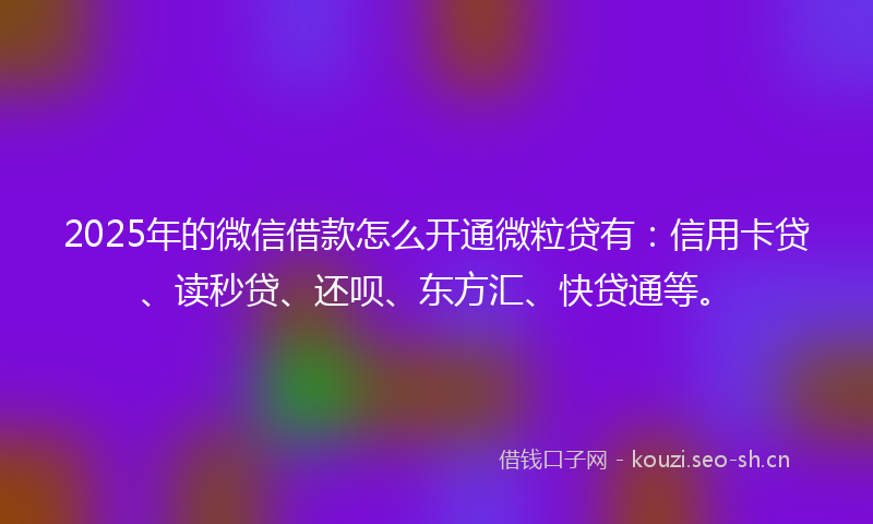 2025年的微信借款怎么开通微粒贷有：信用卡贷、读秒贷、还呗、东方汇、快贷通等。