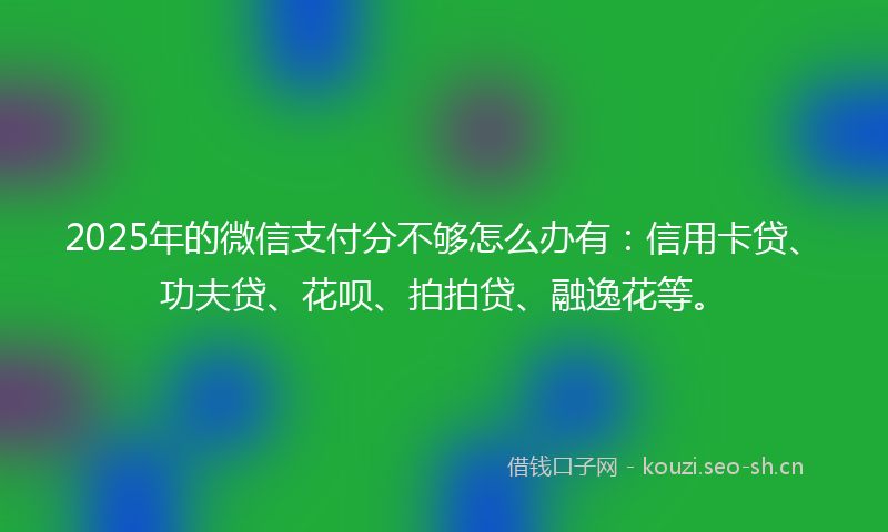 2025年的微信支付分不够怎么办有：信用卡贷、功夫贷、花呗、拍拍贷、融逸花等。