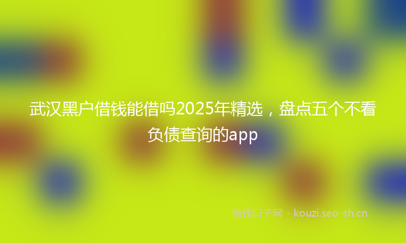 武汉黑户借钱能借吗2025年精选，盘点五个不看负债查询的app
