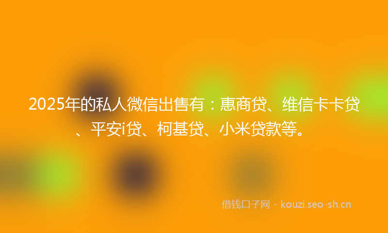 2025年的私人微信出售有：惠商贷、维信卡卡贷、平安i贷、柯基贷、小米贷款等。