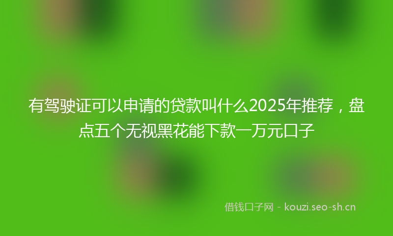 有驾驶证可以申请的贷款叫什么2025年推荐，盘点五个无视黑花能下款一万元口子