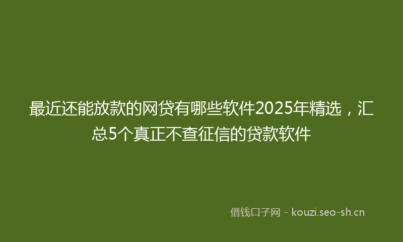 最近还能放款的网贷有哪些软件2025年精选，汇总5个真正不查征信的贷款软件