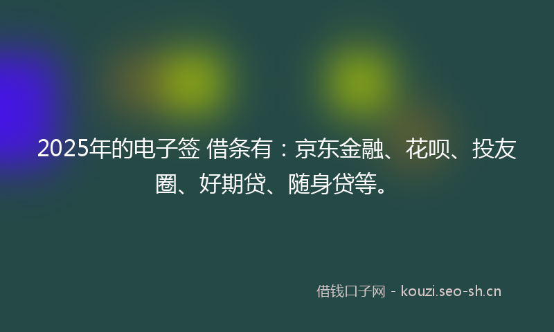 2025年的电子签 借条有：京东金融、花呗、投友圈、好期贷、随身贷等。