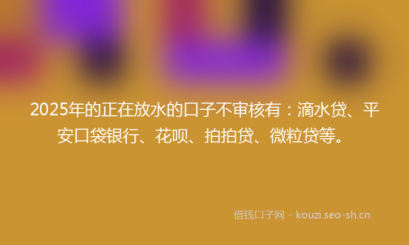 2025年的正在放水的口子不审核有：滴水贷、平安口袋银行、花呗、拍拍贷、微粒贷等。