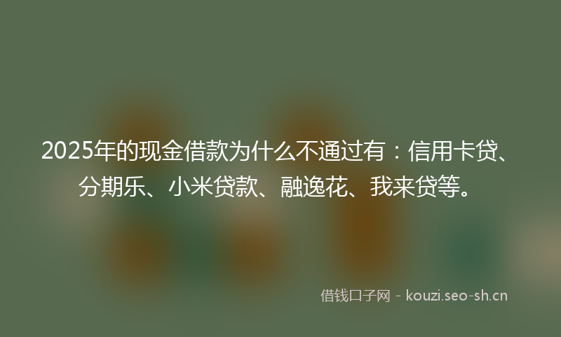 2025年的现金借款为什么不通过有:信用卡贷、分期乐、小米贷款、融逸花、我来贷等。