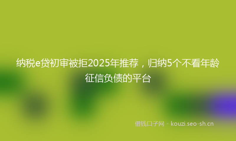 纳税e贷初审被拒2025年推荐，归纳5个不看年龄征信负债的平台