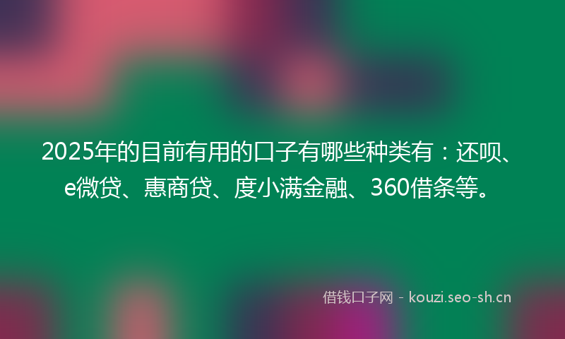 2025年的目前有用的口子有哪些种类有：还呗、e微贷、惠商贷、度小满金融、360借条等。