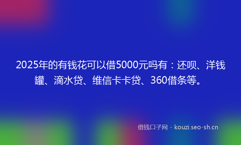 2025年的有钱花可以借5000元吗有：还呗、洋钱罐、滴水贷、维信卡卡贷、360借条等。