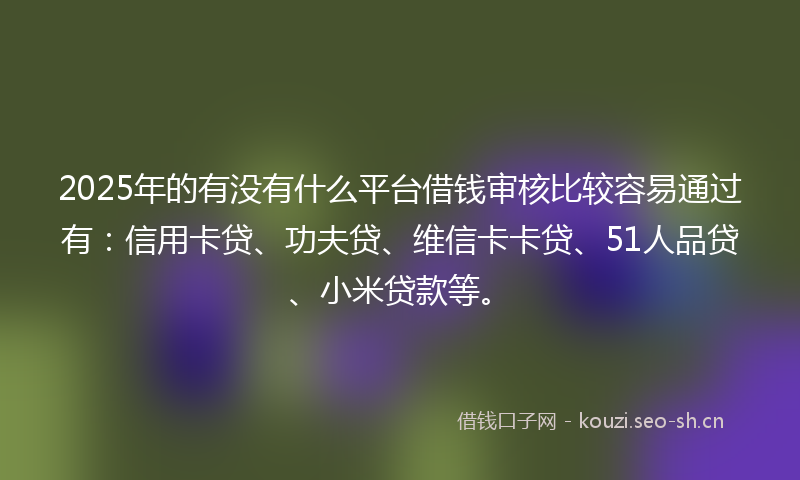 2025年的有没有什么平台借钱审核比较容易通过有：信用卡贷、功夫贷、维信卡卡贷、51人品贷、小米贷款等。