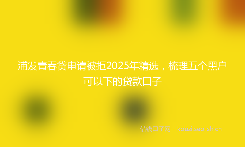 浦发青春贷申请被拒2025年精选，梳理五个黑户可以下的贷款口子