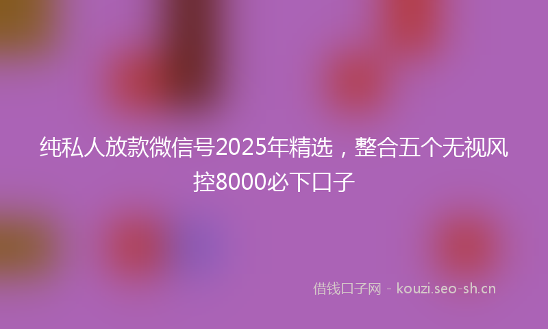 纯私人放款微信号2025年精选，整合五个无视风控8000必下口子