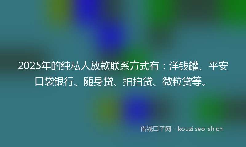 2025年的纯私人放款联系方式有：洋钱罐、平安口袋银行、随身贷、拍拍贷、微粒贷等。