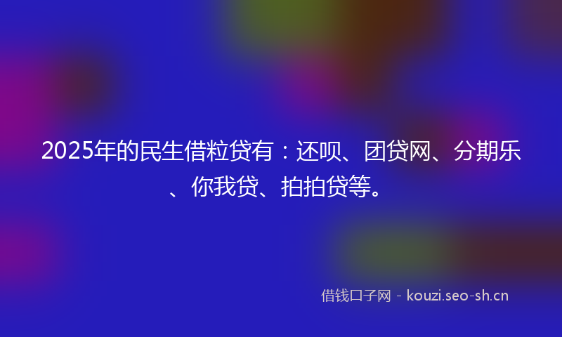 2025年的民生借粒贷有：还呗、团贷网、分期乐、你我贷、拍拍贷等。