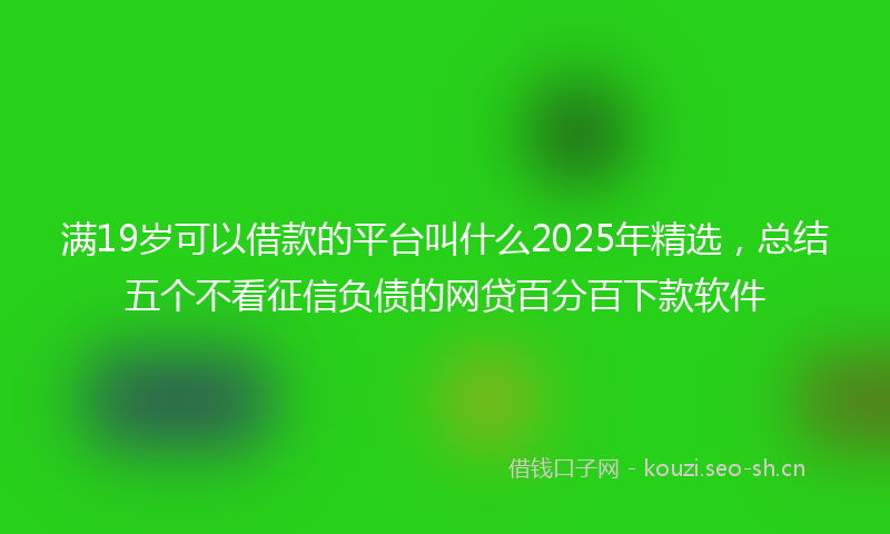 满19岁可以借款的平台叫什么2025年精选，总结五个不看征信负债的网贷百分百下款软件