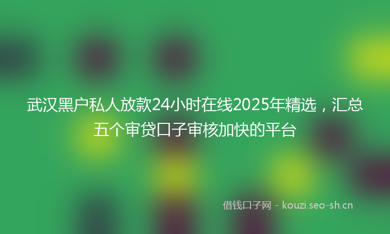 武汉黑户私人放款24小时在线2025年精选，汇总五个审贷口子审核加快的平台